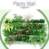 �Ӫ��� PLANTS WALL